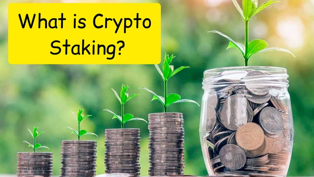 what does stake means in crypto