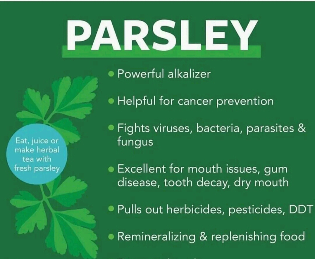 30 Health Benefits of Parsley ThingsCouplesDo