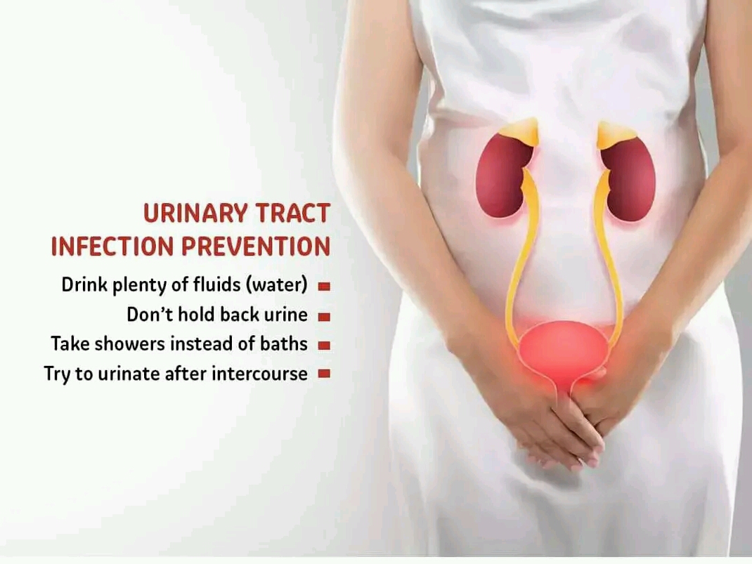 home-remedies-for-urine-infection-during-periods-thingscouplesdo