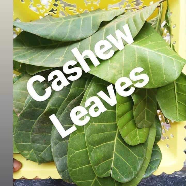 cashew health benefits reddit