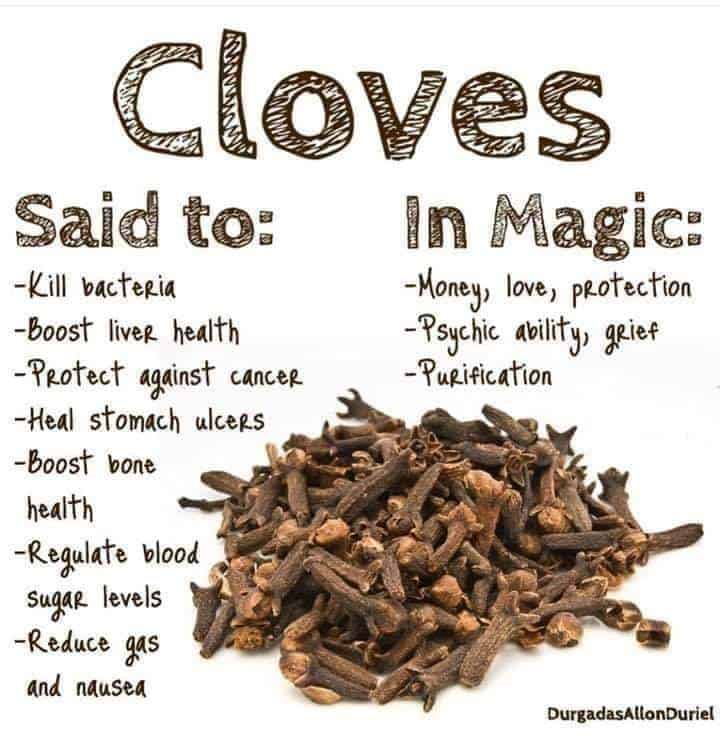 HEALTH BENEFITS OF CLOVES ThingsCouplesDo