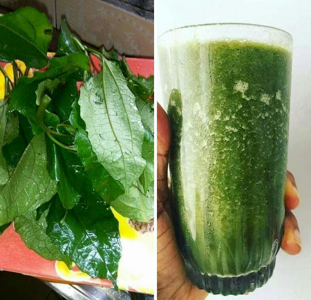 health-benefits-of-pumpkin-leaf-juice-thingscouplesdo